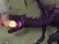 Leikur Minecraft Ender Dragon Challenge á netinu