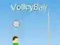 Leikur VolleyBall á netinu