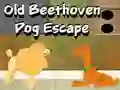 Leikur Old Beethoven Dog Escape á netinu
