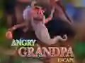 Leikur Angry Grandpa Escape á netinu