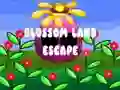 Leikur Blossom Land Escape á netinu