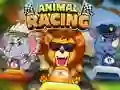 Leikur Animal Racing á netinu