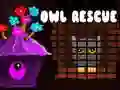 Leikur Owl Rescue á netinu
