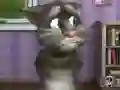 Leikur Talking Tom Cat 2 á netinu