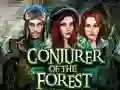 Leikur Conjurer Of The Forest á netinu