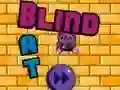 Leikur Blind Bat á netinu