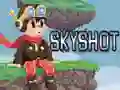Leikur Skyshot á netinu