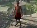 Leikur Black Apocalypse á netinu
