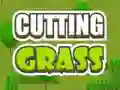Leikur Cutting Grass á netinu