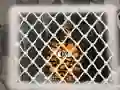Leikur Tiger Escape 1 á netinu