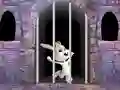 Leikur Victory Rabbit Escape á netinu