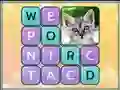 Leikur Word Search Pictures á netinu