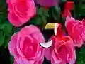 Leikur Precious Rose Escape á netinu
