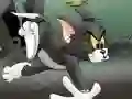 Leikur Tom And Jerry Chase In Marsh á netinu