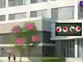 Leikur Escape From The Hospital á netinu