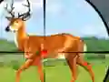 Leikur Wild Hunt Hunting Games 3D á netinu
