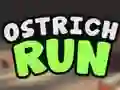 Leikur Ostrich Run á netinu