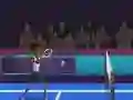 Leikur Badminton Brawl á netinu