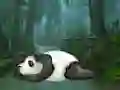 Leikur Wakeup The Sleeping Panda á netinu