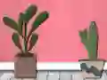 Leikur Find Houseplant á netinu
