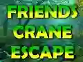 Leikur Friends Crane Escape á netinu