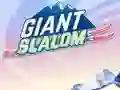 Leikur Giant Slalom á netinu