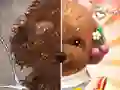 Leikur Pet Makeup Master á netinu