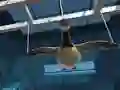 Leikur Goose Museum á netinu