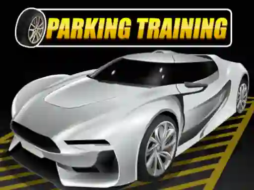 Leikur Parking Training á netinu