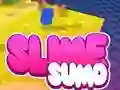 Leikur Sumo Slime 3D á netinu