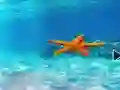 Leikur Escape From Underwater Starfish á netinu