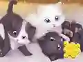 Leikur Jigsaw Puzzle: Playing Cats á netinu