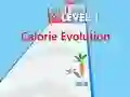 Leikur Calorie Evolution á netinu