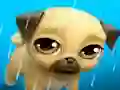 Leikur My Virtual Pet Louie the Pug á netinu