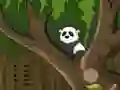 Leikur Panda Jungle Escape á netinu