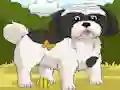 Leikur Dogs Spot the Diffs Part 2 á netinu