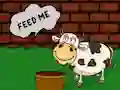 Leikur Find The Cow Feed á netinu