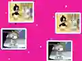 Leikur Baby Looney Tunes Match Up á netinu