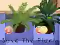 Leikur Save the Plants á netinu