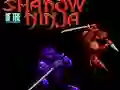 Leikur Shadow of the Ninja á netinu