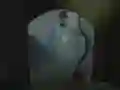 Leikur Find The Precious Diamond á netinu