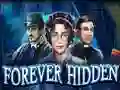 Leikur Forever Hidden á netinu