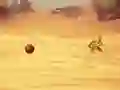 Leikur Monkey Shooting á netinu