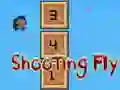 Leikur Shooting Fly á netinu