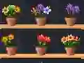 Leikur Good Flower Master á netinu