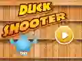 Leikur Duck Shooter Pro á netinu