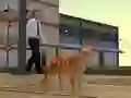 Leikur Cat City Simulator á netinu