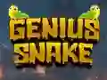 Leikur Genius Snake á netinu