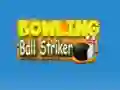 Leikur Bowling Ball Striker á netinu