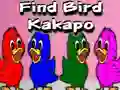 Leikur Find Bird Kakapo á netinu